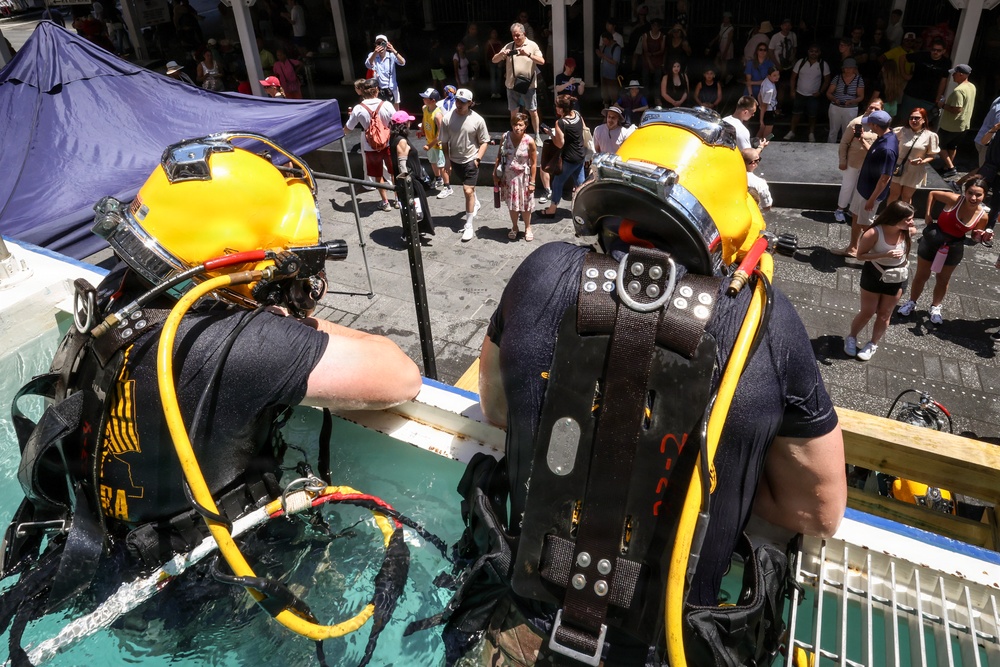 International Naval Review 250 - Dive Tank