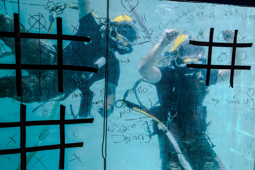 International Naval Review 250 - Dive Tank
