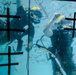 International Naval Review 250 - Dive Tank