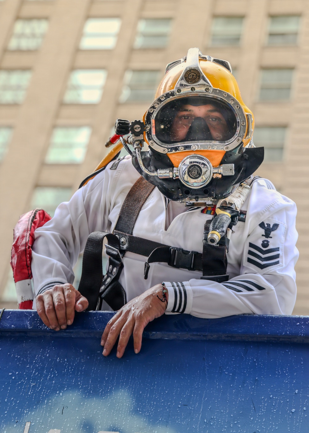 International Naval Review 250 - Dive Tank
