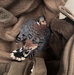 Airfield Management and USDA Rescue Injured Kestrel at the 104th Fighter Wing