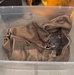 Airfield Management and USDA Rescue Injured Kestrel at the 104th Fighter Wing