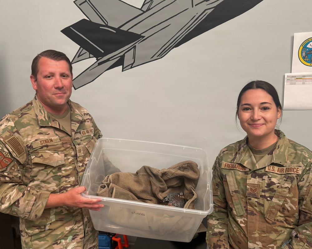 Airfield Management and USDA Rescue Injured Kestrel at the 104th Fighter Wing