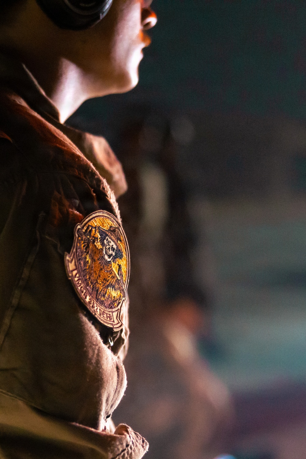 A close-up shot of a figure wearing a worn, tan/brown jacket or flight suit with a prominent embroidered patch on the shoulder. The patch features what appears to be a bear or wolf-like creature in golden-orange tones with text on a banner beneath it. The figure also wears goggles or headgear pushed up on their head, suggesting an aviator or adventurer aesthetic.