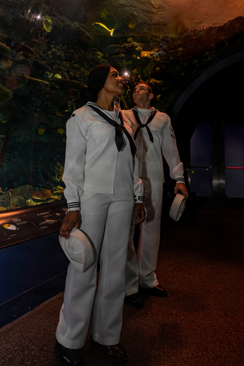 U.S. Sailors Visit New York Aquarium
