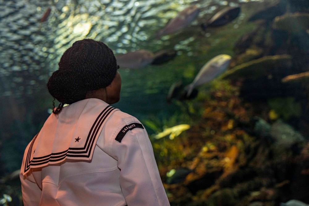U.S. Sailors Visit New York Aquarium