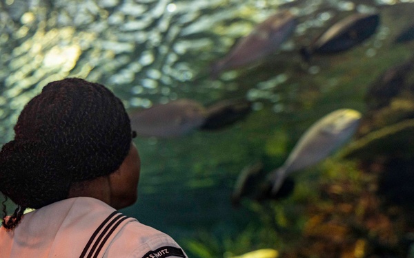 U.S. Sailors Visit New York Aquarium