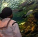 U.S. Sailors Visit New York Aquarium