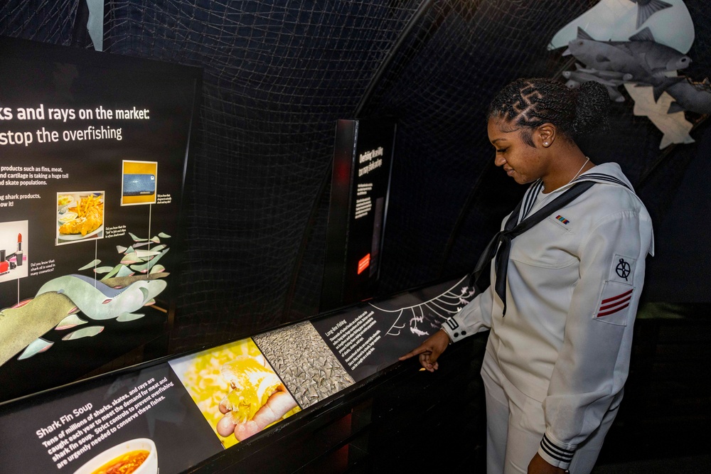 U.S. Sailors Visit New York Aquarium