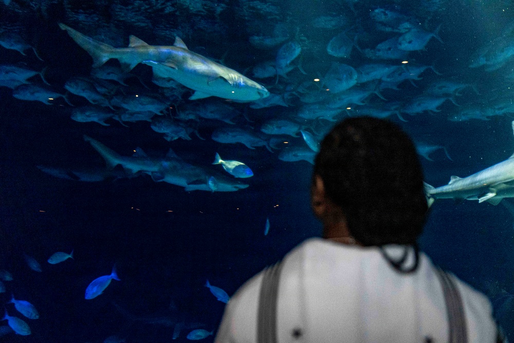 U.S. Sailors Visit New York Aquarium