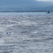 Digitally crewed surface vessel delivers supplies USS Essex during RIMPAC 2026