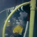 U.S. Navy, Royal New Zealand Navy, Royal Canadian Navy, Peruvian Navy, Mexican Navy divers conduct familiarization dives during RIMPAC 2026