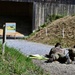USAG Stuttgart Safety takes part in shooting competition, hosted by Bundeswehr Ulm in Dornstadt, June 25, 2026
