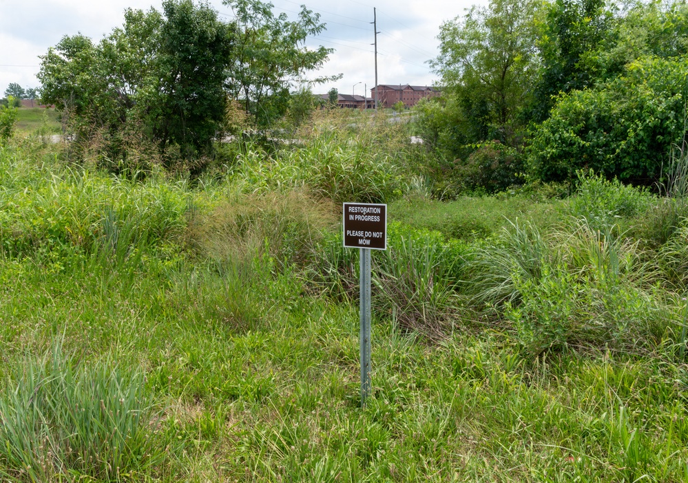 No-Mow Zone: Fort Leonard Wood maps out new protected conservation areas