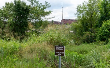 No-Mow Zone: Fort Leonard Wood maps out new protected conservation areas