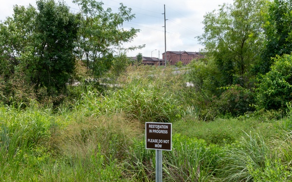 No-Mow Zone: Fort Leonard Wood maps out new protected conservation areas
