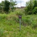 No-Mow Zone: Fort Leonard Wood maps out new protected conservation areas