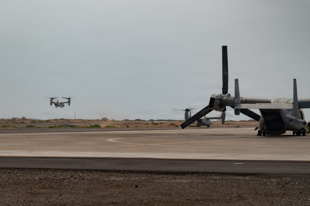 Osprey’s take to the sky