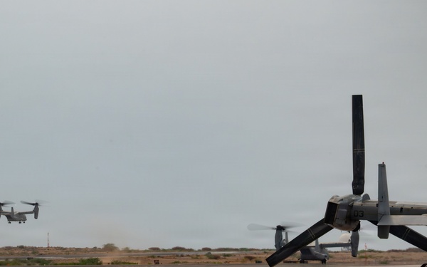 Osprey’s take to the sky