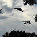 Freedom 250 4th of July Air Show