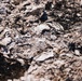 Camp Pendleton Fire Department Combats Range 501, 'Pipeline Fire'