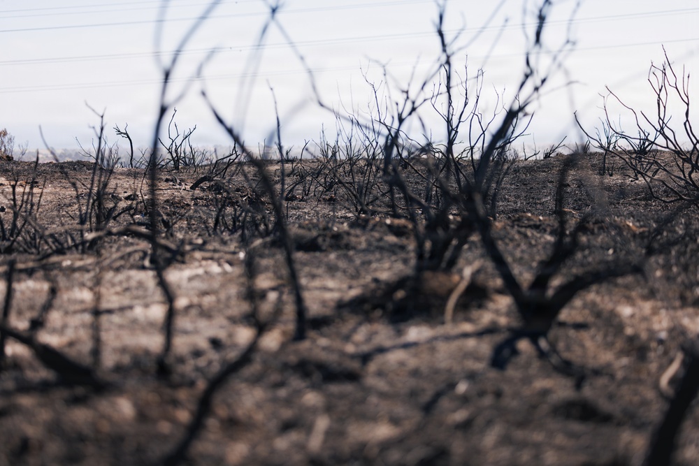 Camp Pendleton Fire Department Combats Range 501, 'Pipeline Fire'