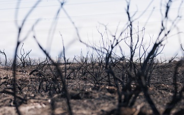 Camp Pendleton Fire Department Combats Range 501, 'Pipeline Fire'