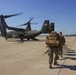 MCB Quantico Security Battalion Field Meet