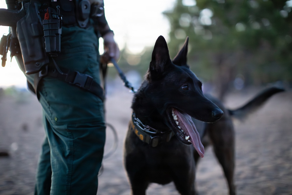 Law Enforcement on Duty for Beach Patrol