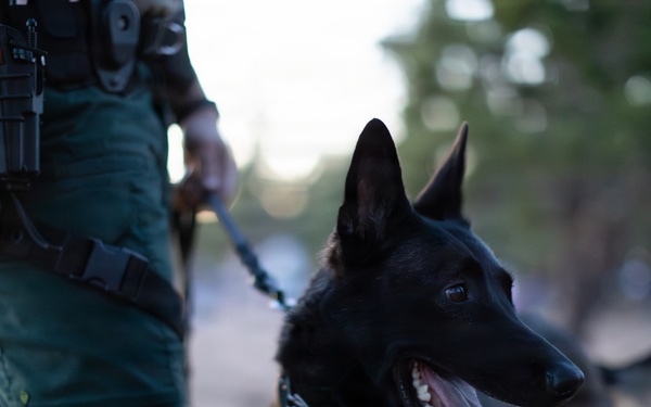 Law Enforcement on Duty