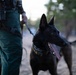 Law Enforcement on Duty