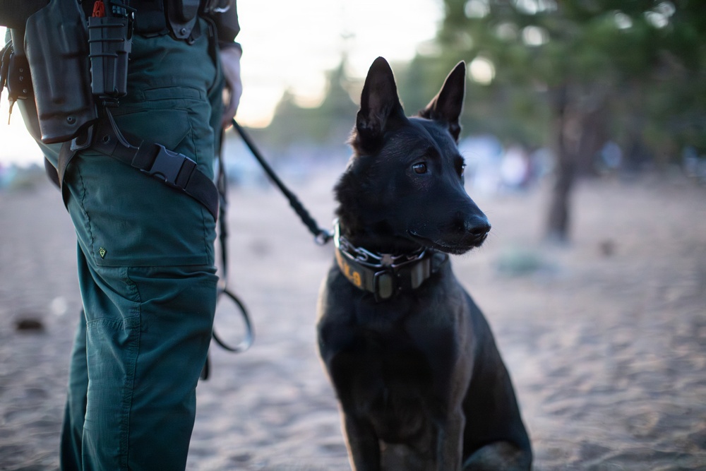 Law Enforcement on Duty for Beach Patrol