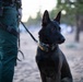 Law Enforcement on Duty