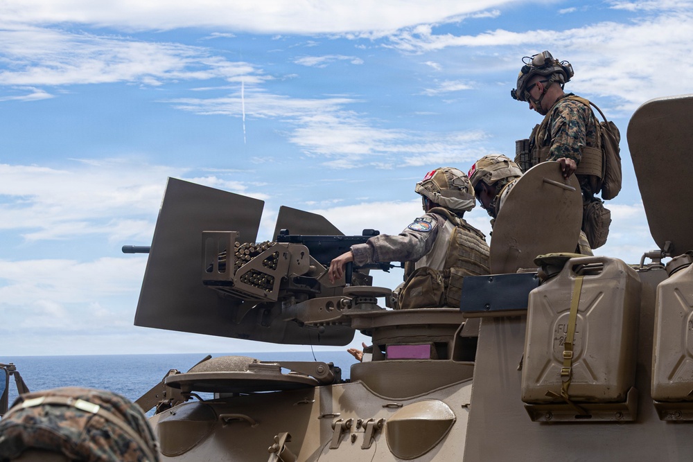 Multinational partners conduct a machine gun live-fire exercise during RIMPAC 2026