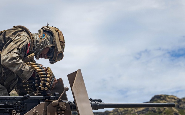 Multinational partners conduct a machine gun live-fire exercise during RIMPAC 2026