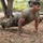 Best Soldier Competition AT 2026