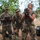 Best Soldier Competition AT 2026