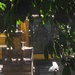 Operation Render Safe 26: U.S. Marines, ADF, PNG forces build safety barriers