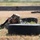 Best Soldier Competition Obstacle Course