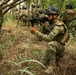 U.S. Marines, Mexican Naval Infantry conduct urban operations training