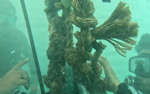 PCG divers strengthen interoperability with U.S. Coast Guard during RIMPAC 2026