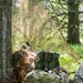 Air National Guard TACPs strengthen combat readiness during Sentry North 26