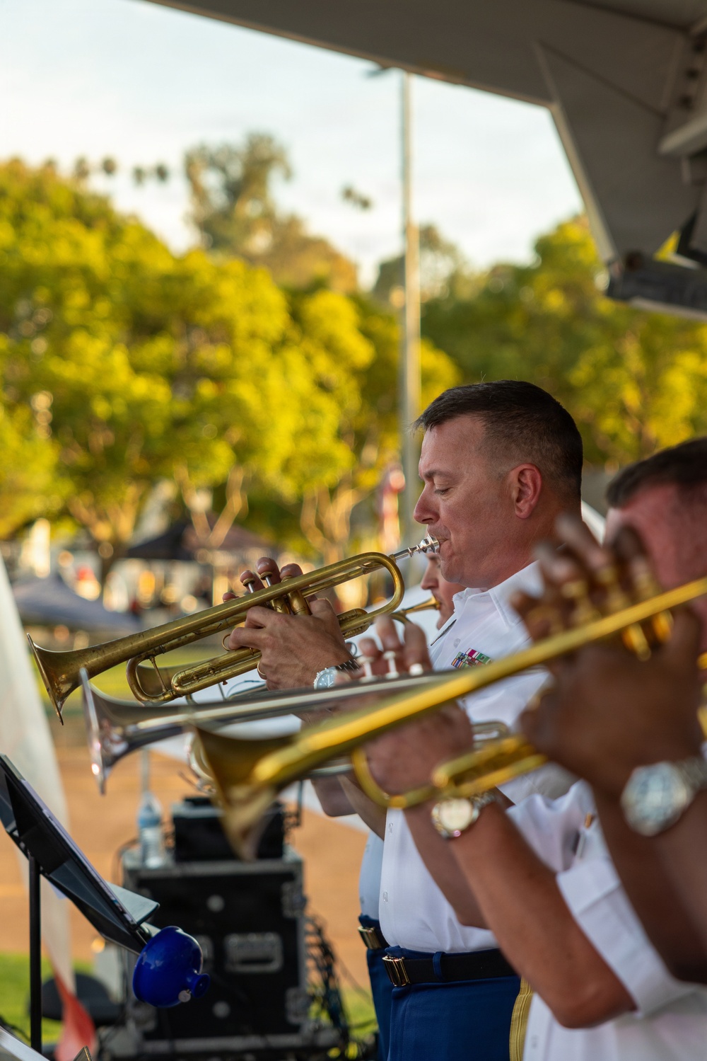 U.S. Army Jazz Ambassadors Perform at America 250 Independence Day Celebration