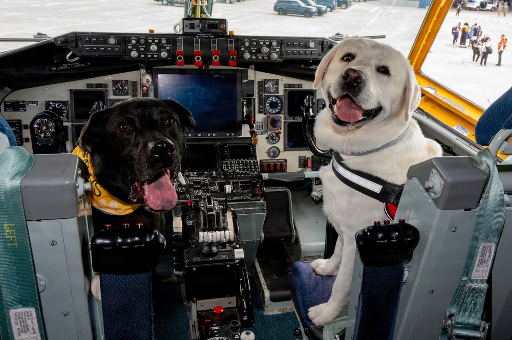 All-Star Leadership Day Therapy Dogs