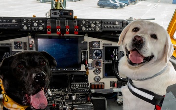All-Star Leadership Day Therapy Dogs