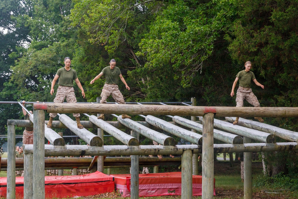 OCC 252 Company D Conducts The Obstacle Course