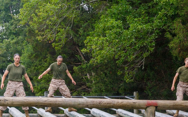 OCC 252 Company D Conducts The Obstacle Course