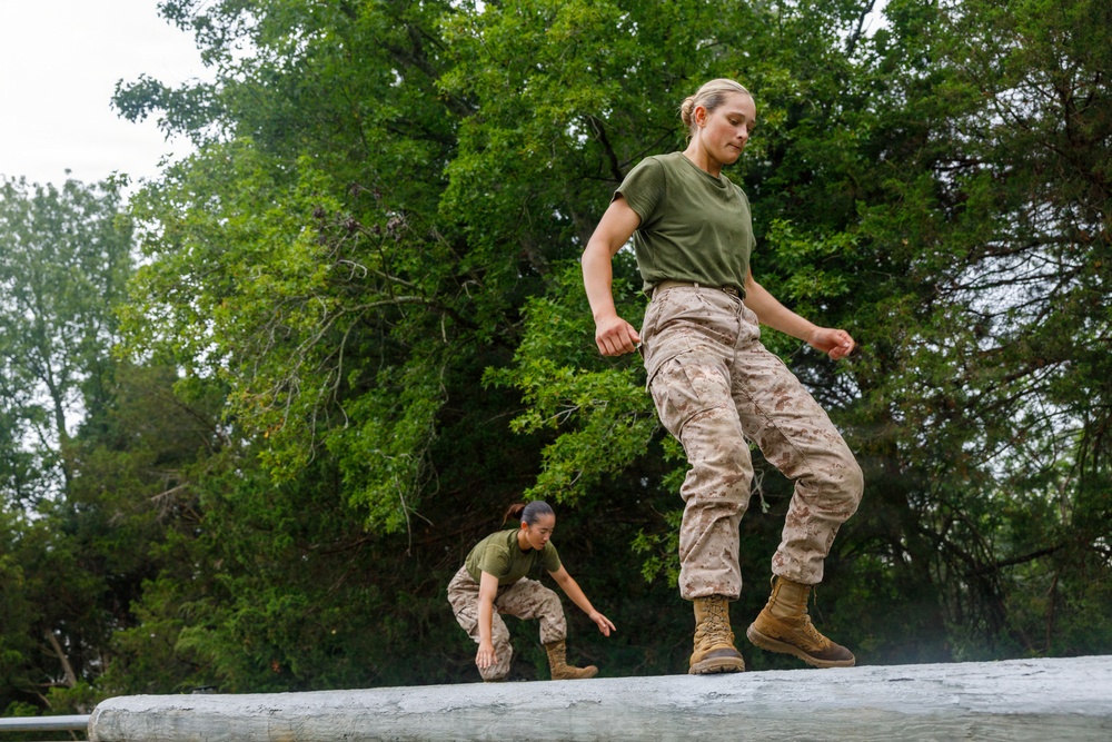 OCC 252 Company D Conducts The Obstacle Course
