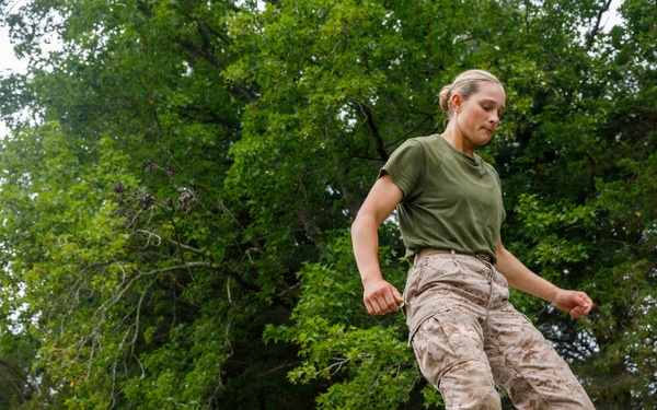 OCC 252 Company D Conducts The Obstacle Course