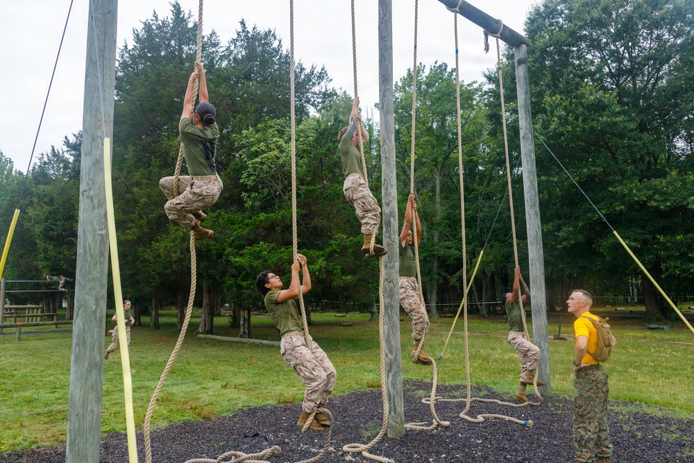 OCC 252 Company D Conducts The Obstacle Course